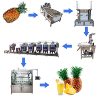 Ananas Mango Sap Verwerkingslijn/Vruchtensap Productielijn Machine