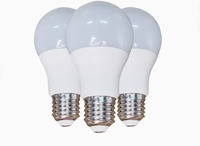 Ampoule LED d'Urgence à Piles E26 B22 E27 pour Usage Domestique