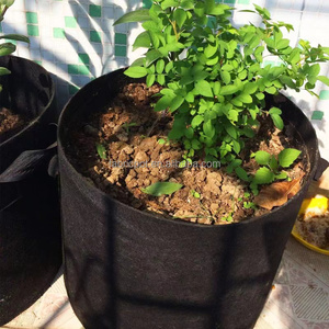 3/5/7/10/15 gallons maison extérieur pas cher fibre non tissé géotextile tissu d'aération sacs de jardin gallon sac de culture <span class=keywords><strong>feutre</strong></span> pot de plante - Product Image 4
