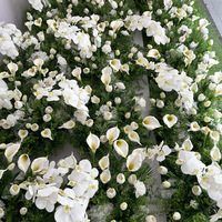 Dekorasi Latar Belakang Tanaman Hijau Artificial 60cm Grosir Dengan Bunga Anggrek Hydrangea Putih Untuk Lengkungan, Perlengkapan Fotografi