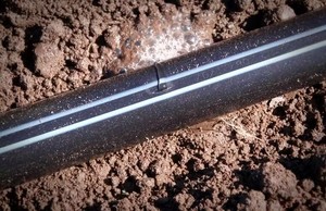 Sistema di Irrigazione Agricola a Risparmio Idrico: Nastro per Irrigazione a Goccia a Labirinto con Striscia Interna - Product Image 6