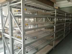 Nouveau tube laser CO2 en verre WT 600W pour machine de découpe laser de panneaux de contreplaqué avec garantie d'un an - Product Image 6
