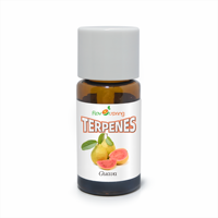 Arôme de Terpènes de Goyave Sans PG, Soluble dans l'Huile, Qualité Alimentaire, Étiquette Nettoyée, pour Boissons