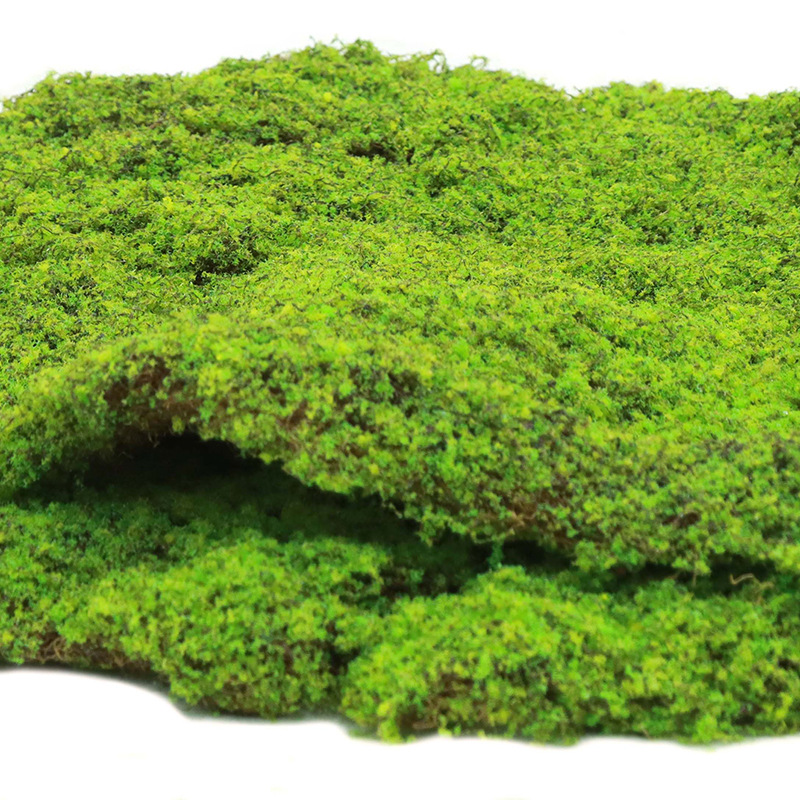 Mousse verte d'herbe-1 pièce6050cm