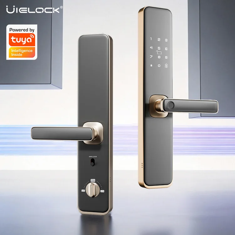 Best-selling Aluminum Alloy Tuya WiFi Smart Door Lock Fingerprint Recognition for Indoor Wooden Steel Glass Doors Cloud Support · image 3