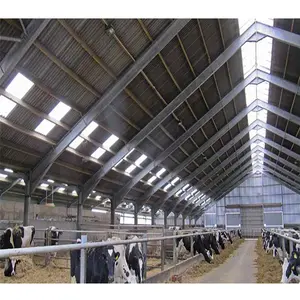 免费牛场设计现代牛场弗里西亚奶牛养殖项目