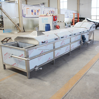 Industriële diepvriesblancheringsmachine voor fruit, groenten en vis met motor van SUS304 roestvrij staal, capaciteit 500 kg/uur