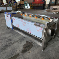 Automatische aardappel-, gember-, lotus-, papaja-, zoete aardappel- en wortelreinigings-, was- en schilmachine voor MBC Groenten en Fruit.