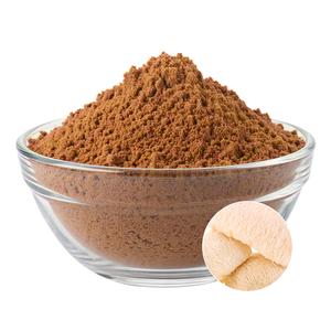 Polvo de Hongo Melena de León Orgánico del Cuerpo Fructífero, 95% Puro, para Uso en Adultos y Apoyo Cognitivo - Product Image 2