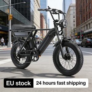 Bicicleta Eléctrica Y20 Pro con Cuadro <span class=keywords><strong>de</strong></span> Acero, Neumáticos Anchos, Motor <span class=keywords><strong>de</strong></span> 48V 250W, Batería Doble, Alcance <span class=keywords><strong>de</strong></span> 210 km, Frenos <span class=keywords><strong>de</strong></span> Disco Hidráulicos, <span class=keywords><strong>Shimano</strong></span> 7 Velocidades, Disponible en la UE - Product Image 1