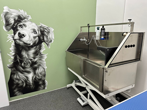 Vasca da Bagno Grande e Lussuosa per Animali Domestici, Vasca per Toelettatura in Acciaio Inossidabile per Cani - Product Image 6