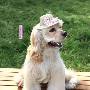 Sombrero para Mascotas, Sombrero de Paja con Encaje para Perros y Gatos Pequeños, Mini Sombrero - Product Image 1