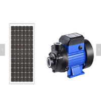 Chine usine 12V DC Mini Pompe À Eau de surface solaire sans balais terres pompe QB60 pompe solaire