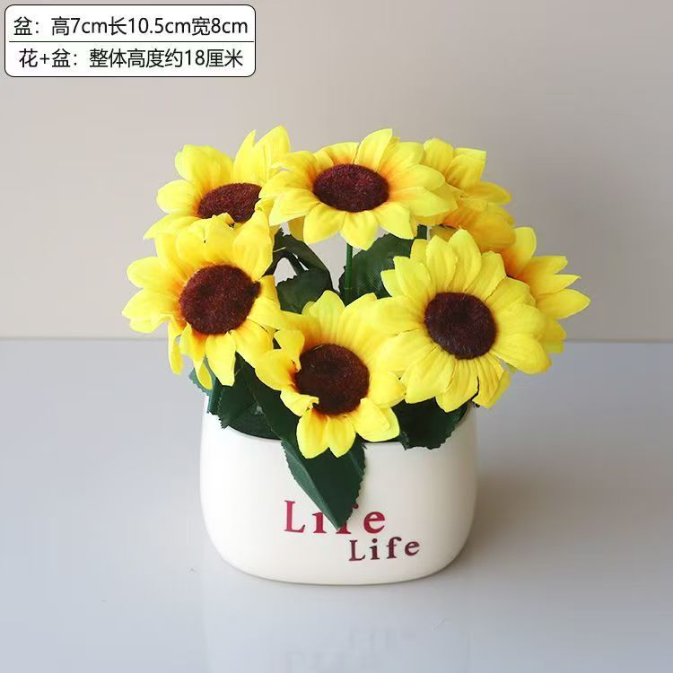 Tournesol