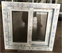 Ventanas Corredizas de PVC con Aislamiento Térmico y Diseño de Mosquitera para Uso Residencial