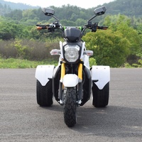 Triciclo Eléctrico Abierto de 1000-1500W con Batería Grande de 60v-72v, Logotipo y Color Personalizables