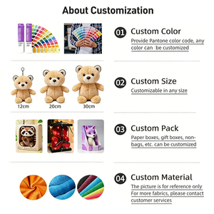 Peluche Personalizzato Super Morbido con Funzione Antistress, Produzione Diretta OEM/ODM, Design Fotografico Personalizzato, Basso MOQ - Product Image 6