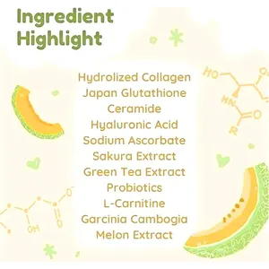 Japanese Premium Melon Beauty Milk Collagen Drink Glow Promote Glowing Skin For Export Collagen Matcha Powder