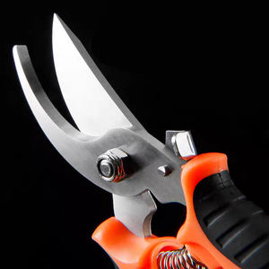 Meilleure vente coupe-lame en acier inoxydable ciseaux de jardin sécateur petite coupe sécateur - Product Image 3