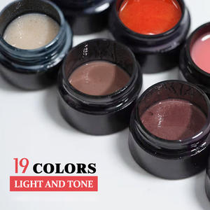 Juego de 19 colores de etiqueta privada, esmaltes de Gel en polvo brillante, esmalte de cristal para decoración de uñas, Gel UV, Kit de barniz semipermanente - Product Image 4