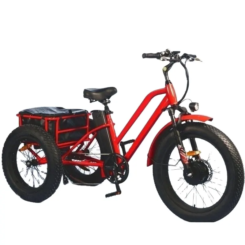 20 inç Triciclo elektrik Trike 750W Motor yağ lastik 3 tekerlekli E bisiklet üç tekerlekli bisiklet üç tekerlekli yetişkin kargo elektrikli bisiklet sepeti