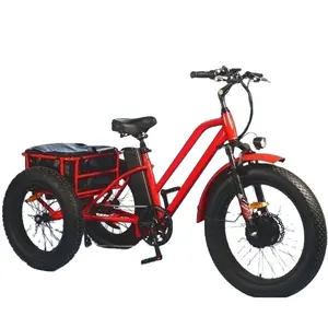 Tricycle électrique de 20 pouces, moteur de 750W, gros pneus, 3 roues, vélo électrique, Tricycle à trois roues, vélo électrique Cargo pour adultes avec panier