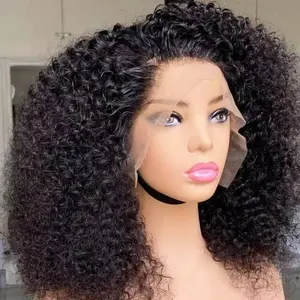 JOYWIGS Brazilian Human Hair Curly Lace Front Wig Very Full Hair Natural Color 16in 250%