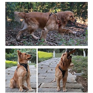 Harnais pour chien souple et réfléchissant, anti-traction, avec poignée et deux attaches pour la laisse, certifié BSCI, marque privée - Product Image 6