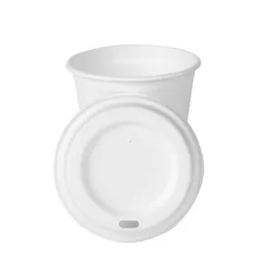 Vaso Desechable de Caña de Azúcar TM-C007 Ecológico 100% Biodegradable de 8 oz/250 ml para Cafeterías y Tiendas de Café - Product Image 5