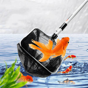 Atacado Quadrado <span class=keywords><strong>Koi</strong></span> Peixe Rede Retrátil Durável Forte Nylon Carpa Landing Rede De Pesca com Metal para Pesca Manual na <span class=keywords><strong>China</strong></span> - Product Image 1