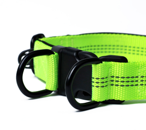 ปลอกคอสุนัขขายร้อน,ใหม่ที่กำหนดเองพิมพ์กีฬาสุนัขออกแบบแฟชั่นมังสวิรัติที่ดีที่สุดปก - Product Image 6