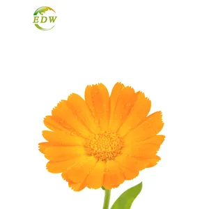 Xanthofyl Poeder Calendula Officinalis Bloem Extract