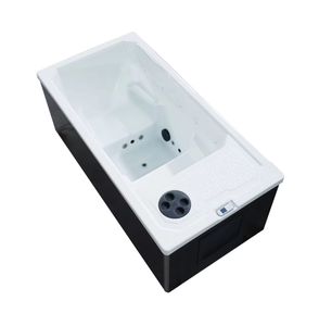 <span class=keywords><strong>Piscine</strong></span> <span class=keywords><strong>d</strong></span>'hydrothérapie froide extérieure en acrylique pour jardin Jacuzzier Spa Baignoires Sauna Chambres Douche pour 2 personnes - Product Image 3