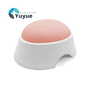 Modèle de développement fœtal à 4 mois en silicone pour échographie obstétricale et Doppler - Product Image 1
