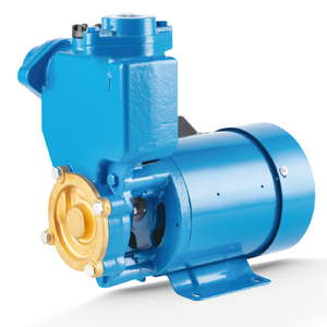 Pompe à eau de surpression industrielle automatique auto-amorçante à moteur haute performance 0.5 CV pour irrigation commerciale PS-126 - Product Image 2