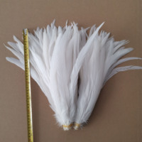 Plumes de queue de coq blanches pures, plumes de coq en vrac, plumes naturelles pour fêtes, carnavals, vêtements DIY et accessoires vestimentaires