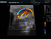 Échographe portable de diagnostic EDAN AX9 neuf et EDAN AX9 pour usage vétérinaire