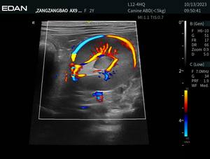 Ecógrafo Veterinario EDAN ACCLARIX AX9, Ecógrafo de Diagnóstico Portátil para Veterinarios en Venta - Product Image 3