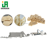 Machine à fabriquer des nuggets de protéines de soja Shengrun, ligne de production complète de protéines de soja extrudées