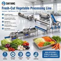 DY 500-2000Kg/H Groentehakselaar Groente- en Fruitwasmachine Volledig Automatische Bladgroentewaslijn