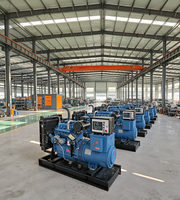 Générateur diesel monophasé à châssis ouvert de 30 kW/37,5 kVA, moteur refroidi par eau, démarrage 12 V CC, 50/60 Hz, pour usage résidentiel