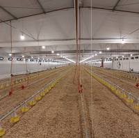 Structure en acier durable pour l'élevage de volailles, bâtiment polyvalent pour poulaillers/abris à poulets pour fermes