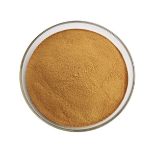 Saf doğal Phyllanthus Niruri bitkisel özü tozu gıda sınıfı fubottle dan şişe ve davul ambalaj ile - Product Image 5