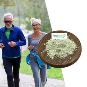 FocusHerb - Extracto de Hoja de Olivo en Polvo, Precio de Fábrica, Venta al por Mayor, 10%-30% de Ácido Maslinico, Almacén en EE. UU. - Product Image 1