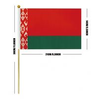 Drapeau de Belarus à agiter à la main, 14*21cm, en polyester imprimé numériquement avec mât en bois, vente en gros