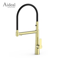 Aideal Hot superbe et fonctionnel robinet de cuisine extractible mélangeant beauté et utilité parfaitement
