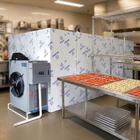 Containeriseerbare warmtepomp fruitdroger voor mango-droging op afstand, 300 kg, plug-and-play mobiele oplossing