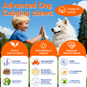 Service de marque privée OEM/ODM Complément nutritionnel apaisant pour chiens Ingrédients naturels Soins de santé et compléments pour animaux de compagnie - Product Image 3