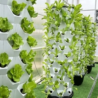 Système hydroponique vertical Grow Tower pour la culture d'ananas