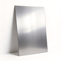 Flexible 304 Stainless Steel Sheet 0.3mm 0.5mm 0.8mm Ultra Thin SS Metal Plate in Coil/Sheet